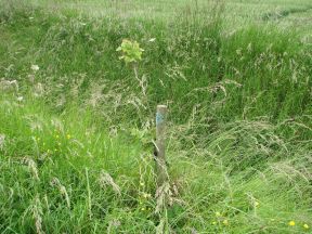 Greenwich Meridian Marker; England; Lincolnshire; Fulstow